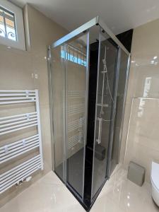a glass shower in a bathroom with a toilet at Ana Deluxe Apartment in Radovljica +12 photos