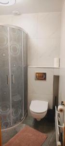a bathroom with a toilet and a shower at Letni Domek , Ogrzewany, z bilardem in Ruciane-Nida