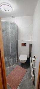 a bathroom with a shower and a toilet at Letni Domek , Ogrzewany, z bilardem in Ruciane-Nida