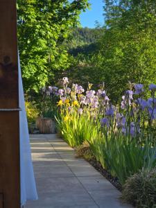 a garden with purple flowers and a pathway at Nad Strumieniem in Pieszyce