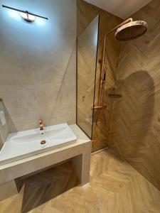a bathroom with a sink and a shower at ZenTen Apartment in Elva