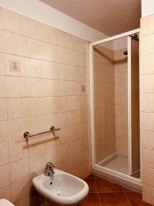 a bathroom with a sink and a shower at La Maison de Nocent in Pré-Saint-Didier +19 photos