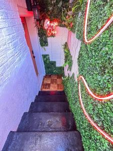a set of stairs with plants on the side of a building at VIBES! Free Parking, Piano, King Bed in Washington, D.C.
