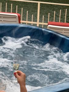 a person holding a glass of wine in a hot tub at Leo Green House in Cinciş +59 photos