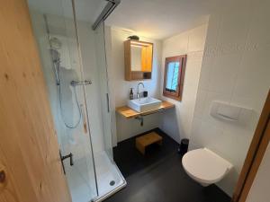 a bathroom with a shower and a toilet and a sink at Pensiunina - Pension - Sent in Sent +69 photos