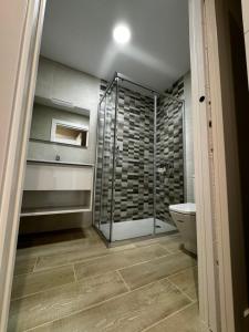 a bathroom with a shower and a toilet at Apartamento Mediodía 3 in La Bañeza