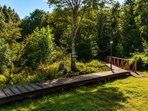 a wooden walkway in a park with a tree at El Urco Chiloé - Cabaña La Fiura in Ancud