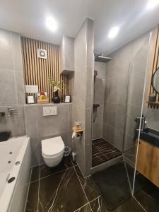 a bathroom with a shower and a toilet and a sink at CasaNova in Cologne +18 photos