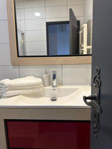 a bathroom with a sink and a mirror at Bel Appartement Perrières in Brive-la-Gaillarde