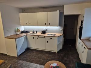 a kitchen with white cabinets and a sink at Apartmán U Lanovky in Kramolín