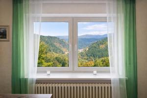 a window with a view of a mountain at Ferienwohnung Panoramablick Bermersbach in Forbach