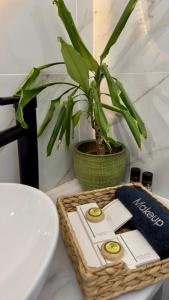 a bamboo basket with a potted plant on a table at Salamina Urban Escape C in Paloúkia +5 photos