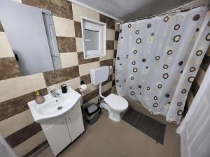 a bathroom with a sink and a toilet and a shower at Casa Claudiu in Eşelniţa +25 photos