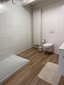 a bathroom with a toilet and a glass shower at Boardinghouse Rheinfelden 4 in Rheinfelden +3 photos