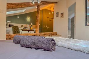 a bed with a towel on top of it at La grande Sure & Spa in Voiron