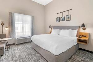 a hotel room with a large bed and a desk at Sleep Inn & Suites Pensacola - University Area in Pensacola +15 photos