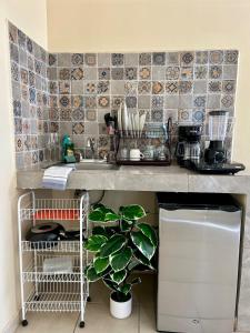 a kitchen counter with a sink and a plant at Estudio #5 a 5 min del malecon in La Paz
