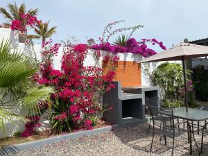 a garden with pink flowers and a table and an umbrella at Estudio #5 a 5 min del malecon in La Paz