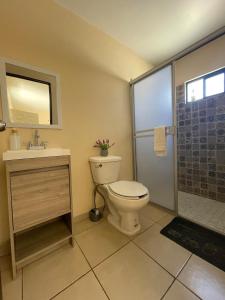 a bathroom with a toilet and a sink and a shower at Estudio #5 a 5 min del malecon in La Paz +23 photos