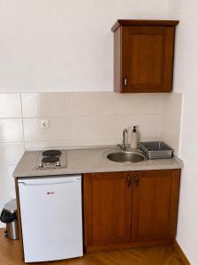 a kitchen with a sink and a white refrigerator at Apartmani Sejla in Dobra Voda +7 photos