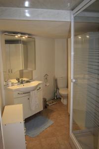 y baño con lavabo, aseo y ducha. en Studio la mésange, en Mers-les-Bains