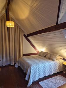 a bedroom with a large bed with a ceiling at Chalé Terra Nova in Itamonte
