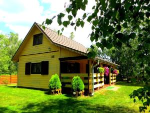 a small yellow house with two chairs in the yard at TLdomki in Radęcin