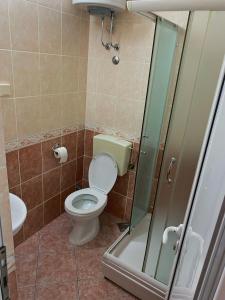 a bathroom with a toilet and a shower at Apartment Stegic 1 in Radovici