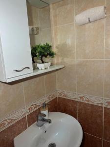 a bathroom with a sink and a mirror at Apartment Stegic 1 in Radovici