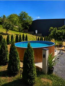 a swimming pool in a circle in a garden at De Papel Villa in Jankoviči