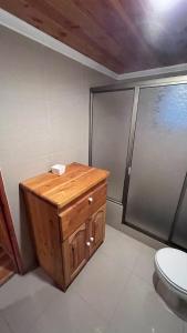 a bathroom with a toilet and a shower at Jazz House Pucon in Pucón