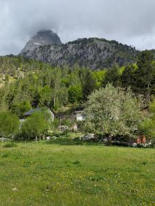 a house in a field with a mountain in the background at Guests house, Artani in Valbonë