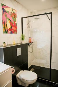 a bathroom with a shower and a toilet at Ô Berge De La Cité in Carcassonne +27 photos