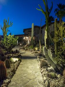Zahrada ubytování Garden Cactus