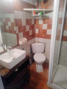 a bathroom with a toilet and a sink and a shower at Chez Eli in Luri