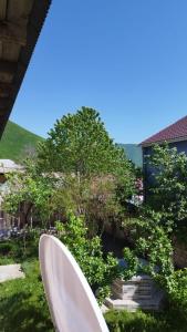 a white toilet sitting in the grass in a yard at Sheki Garden Guest House in Sheki