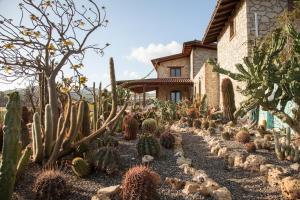 a garden of cacti in front of a house at Garden Cactus in Villaggio Mosè