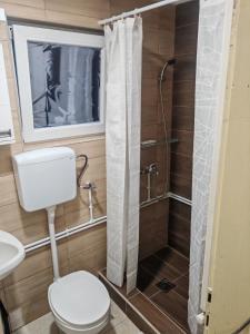 a bathroom with a toilet and a shower at Apartman Darija in Vrnjci +3 photos