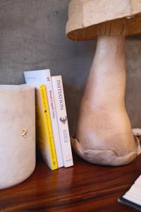 two books sitting on a table next to a mushroom at Casa Chuparrosas in San Mateo Río Hondo