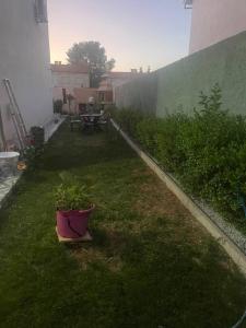a patio with a table and a potted plant in the grass at Villa Moderne avec Piscine Privée in Imouzzer du Kandar