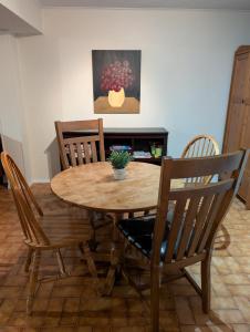 a dining room table and chairs with a plant on it at West End Basement Apartment in Toronto