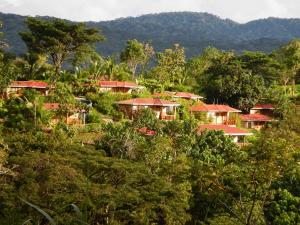 a group of houses with red roofs in the trees at Hotel Cerro Lodge in Tárcoles