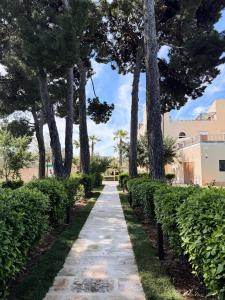 ein Fußweg durch einen Park mit Bäumen und Sträuchern in der Unterkunft Corte Noi in Bitetto
