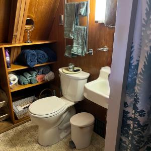 a bathroom with a toilet and a sink at Adorable Aframe in the White Mountains in Conway +20 photos