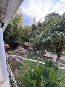 a view of a garden from a house at Villa Nacha in Villeta