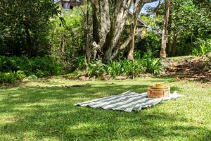 a blanket and a basket on the grass at Treehaven House & Cottage - Maleny Retreat in Maleny