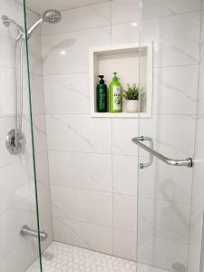 eine Dusche mit Glastür und zwei Flaschen auf einem Regal in der Unterkunft TononHouse in Toronto + 13 Fotos