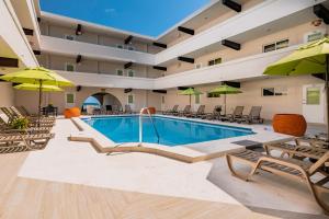 a pool in a hotel with chairs and umbrellas at Bananas On The Beach in San Pedro