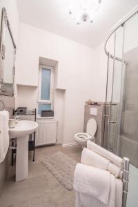 シビウにあるCentral Apartment Sibiuのバスルーム(シャワー、トイレ、シンク付)