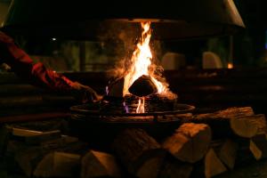 a fire pit with flames in it with logs at Okushiga Kogen Hotel in Yamanouchi